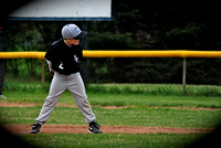 D-1 Hawks