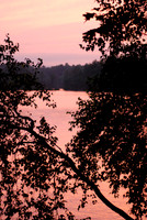 DSC_0639_JPG